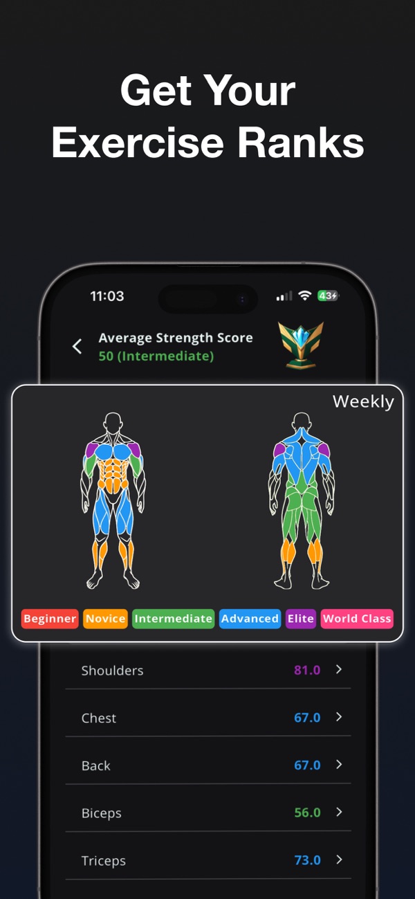 Per-muscle Strength Score ranks in the Stronger app